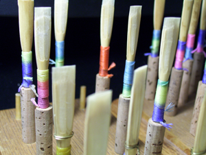 Oboe reeds drying on a reed stand